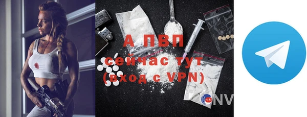PSILOCYBIN Снежногорск