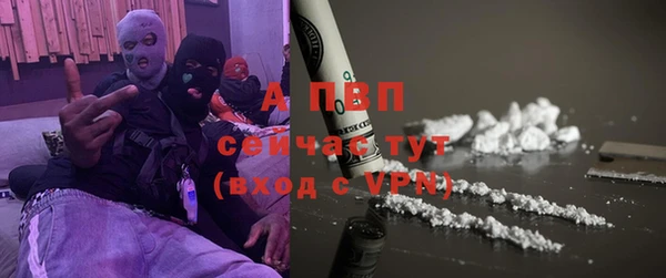 PSILOCYBIN Снежногорск