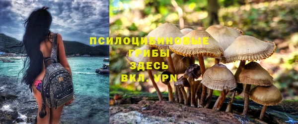 герыч Снежинск