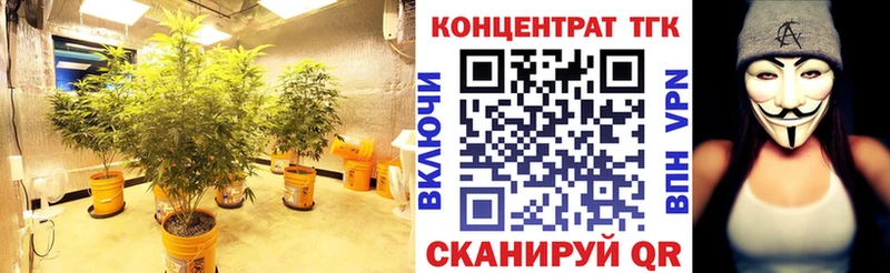 Дистиллят ТГК THC oil  дарнет шоп  ссылка на мегу как зайти  Буинск 