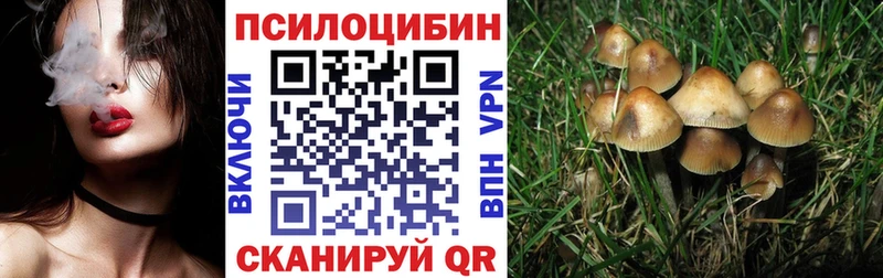 Галлюциногенные грибы Psilocybine cubensis  как найти закладки  Буинск 